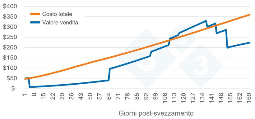 Figura 1. Sovrapporre la curva del valore del suino.