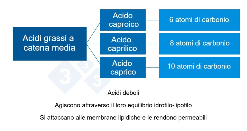 Grafico 2: Acidi organici a catena media.