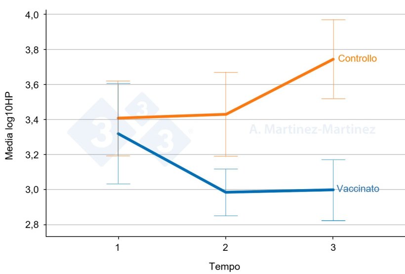 Figura 1: Livelli di aptoglobina nella saliva di due gruppi di suini, uno vaccinato e uno non vaccinato. Barre di errore: intervallo di confidenza al 95%. Fonte: A. Martinez-Martinez.