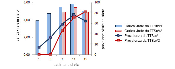 Cariche virali e prevalenze da TTSuV
