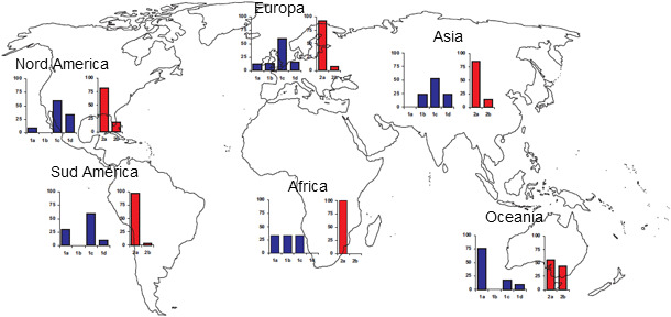 Prevalenze geografiche di differenti ceppi di TTSuV
