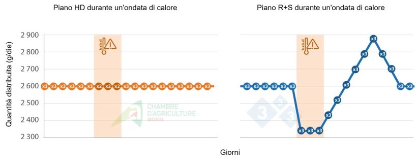 Esempio di piano alimentare durante un'ondata di calore. Fonte: CAB.
