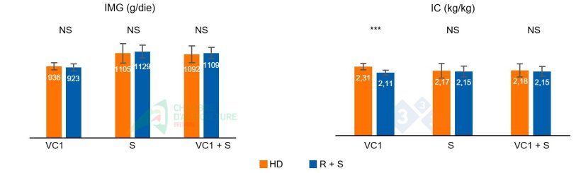 Figura 1: IMG&nbsp;e IC durante la prima ondata di calore del lotto 1 (VC1), durante la fase di sovralimentazione (S) successiva e il totale cumulativo di entrambe le fasi (VC1 + S).
