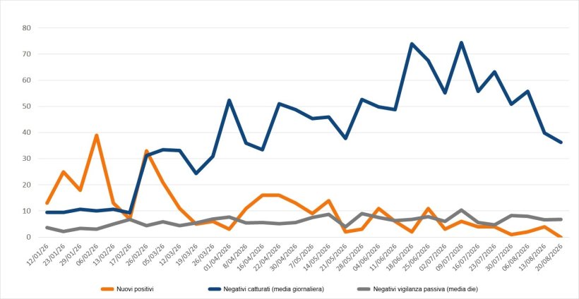 Descrizione: Evoluzione dei casi positivi, dei contagi e della sorveglianza passiva settimanale nelle zone I e II. Fonte: 333 sulla base dei dati MAPA.
