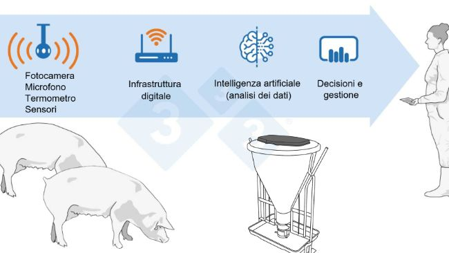Figura 1: L'allevamento come sistema di dati.