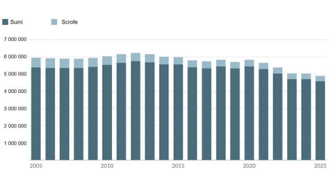 Allevamento suino nella Regione fiamminga, 2005-2025, in numero di capi. Fonte: Statbel, dati elaborati dall'Agenzia per l'agricoltura e la pesca.