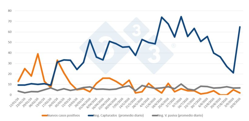 Evoluzione dei casi positivi, dei contagi e della sorveglianza passiva settimanale nelle zone I e II. Fonte: 333 sulla base dei dati MAPA.