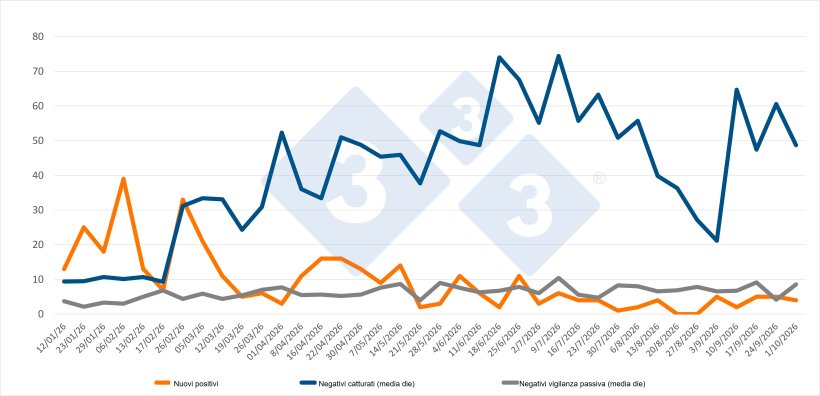 Evoluzione dei casi positivi, dei contagi e della sorveglianza passiva settimanale nelle zone I e II. Fonte: 333 sulla base dei dati MAPA.
