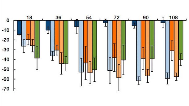 Cambios en la capacidad fagocítica de los macrófagos alveolares porcinos en diversos momentos post-infección por PCV2, PRRSv, PCV2 + PRRSv, PRRSv + PCV2, PCV2 + PRRSv