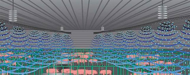 Rappresentazione dell'installazione del sistema EPI in allevamento