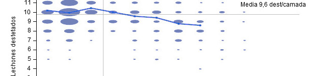 Numero svezzati per parto di 6 mesi