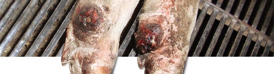 Desprendimiento del d&iacute;gito auxiliar