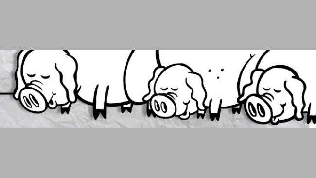 Variabiltà del peso alla nascita