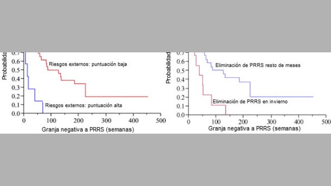 Probabilità di un allevamento di mantenersi negativo al virus PRRS
