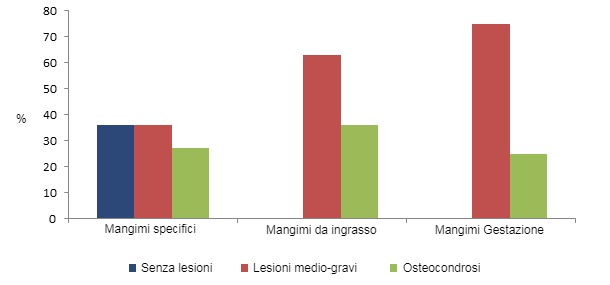 Il consumo di mangimi specifici&nbsp;per scrofette riduce la prevalenza delle zoppie
