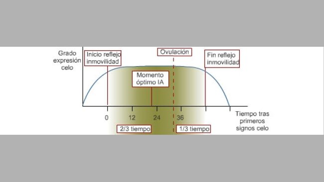 Protocolli di copertura