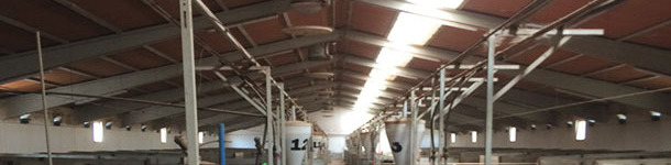 Nave de gestaci&oacute;n confirmada con colocaci&oacute;n longitudinal de la parte transl&uacute;cida