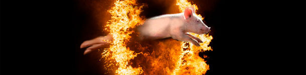 Il muro del calore di settembre