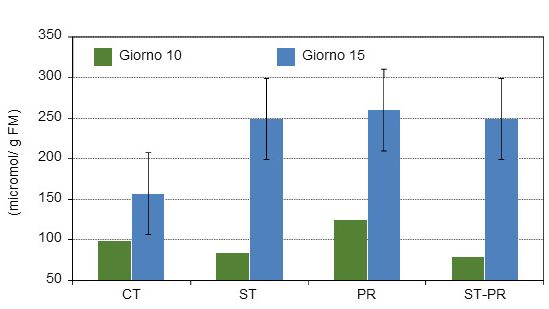 Concentrazione di acidi grassi a catena corta sul contenuto del colon di suinetti di 10 e di 15 gg dopo lo svezzamento con 4 diete sperimentali diverse.
