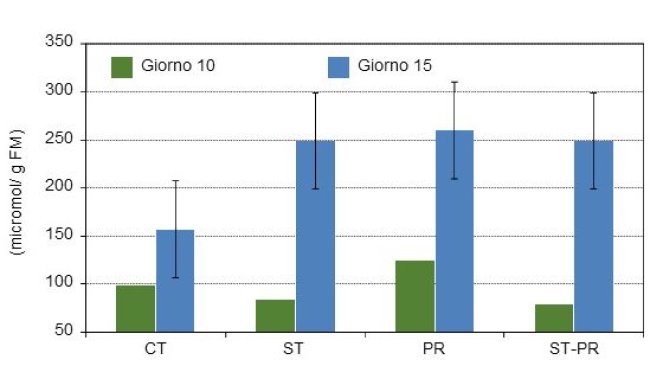 Concentrazione di acidi grassi a catena corta sul contenuto del colon di suinetti di 10 e di 15 gg dopo lo svezzamento con 4 diete sperimentali diverse.