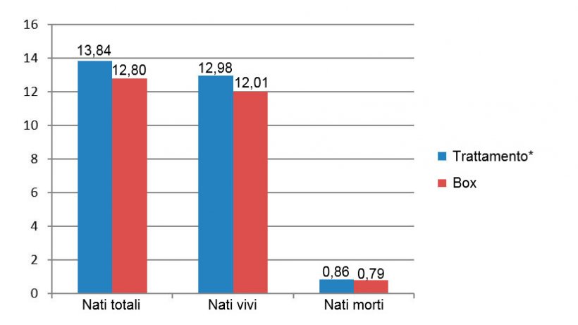 Figura 6: Nati totali, vivi e morti tra dicembre&nbsp;2015 e giugno&nbsp;2016 (*scrofe in gabbia dallo svezzamento fino a 28 giorni di gestazione).
