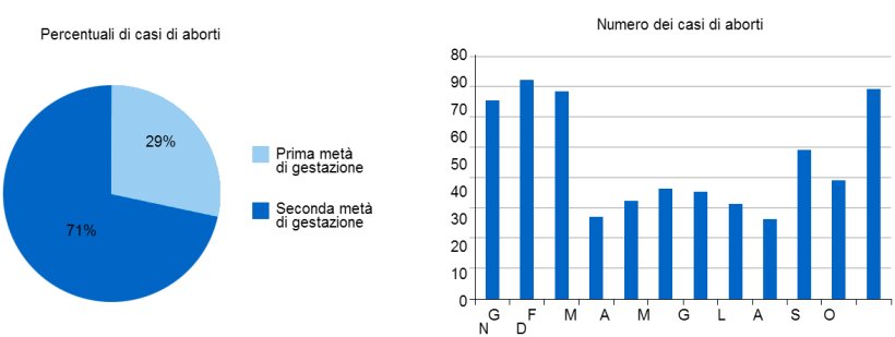 Il grafico circolare rappresenta la % di aborti nella prima e seconda parte di gestazione, rispettivamente. Il grafico a barre, rappresenta la stagionalit&agrave; degli aborti.
