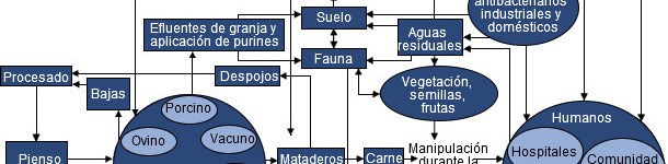 Resistenza antimicrobica
