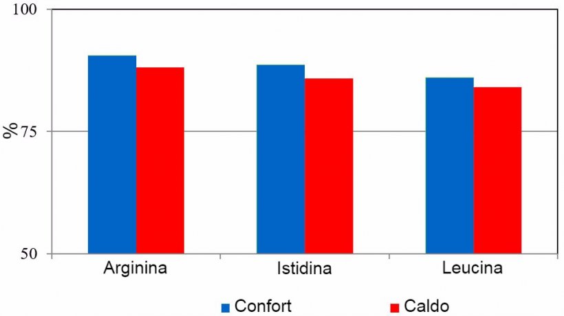 Digeribilit&agrave; apparente di amminoacidi nei suini esposti a temperature ambientali di confort (24 &plusmn; 2 &deg;C) o di stress da caldo&nbsp;(variazione giornaliera da&nbsp;30 a 42 &deg;C).
