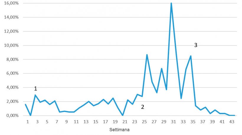 Figura 7. Mortalit&agrave; settimanale durante i problemi da ME; 1 = riduzione dei primi segni dopo 3-4 settimane; 2 = ricomparsa della malattia ad un livello molto superiore; 3 = prima settimana dopo la vaccinazione.
