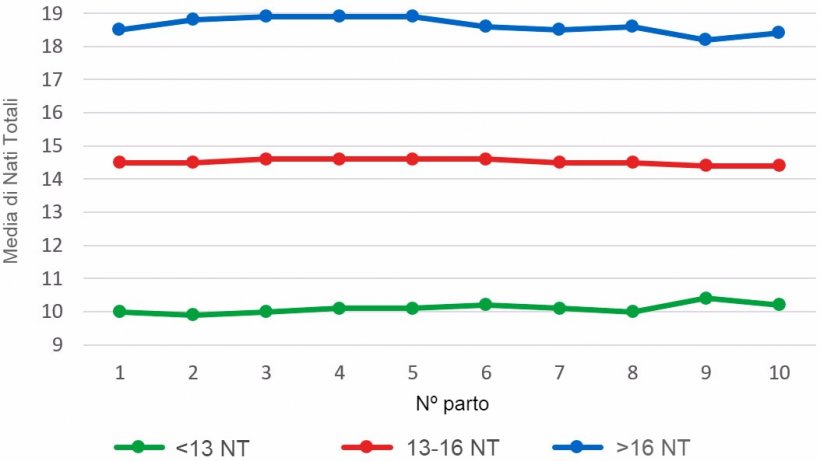 Grafico 4: Media di suinetti nati morti per numero di parto per le figliate con meno di 13, tra 13 e 16 o oltre16 suinetti. L&#39;analisi si basa su 93.896 parti di scrofe iperprolifiche tra ottobre 2014 a settembre 2016.
