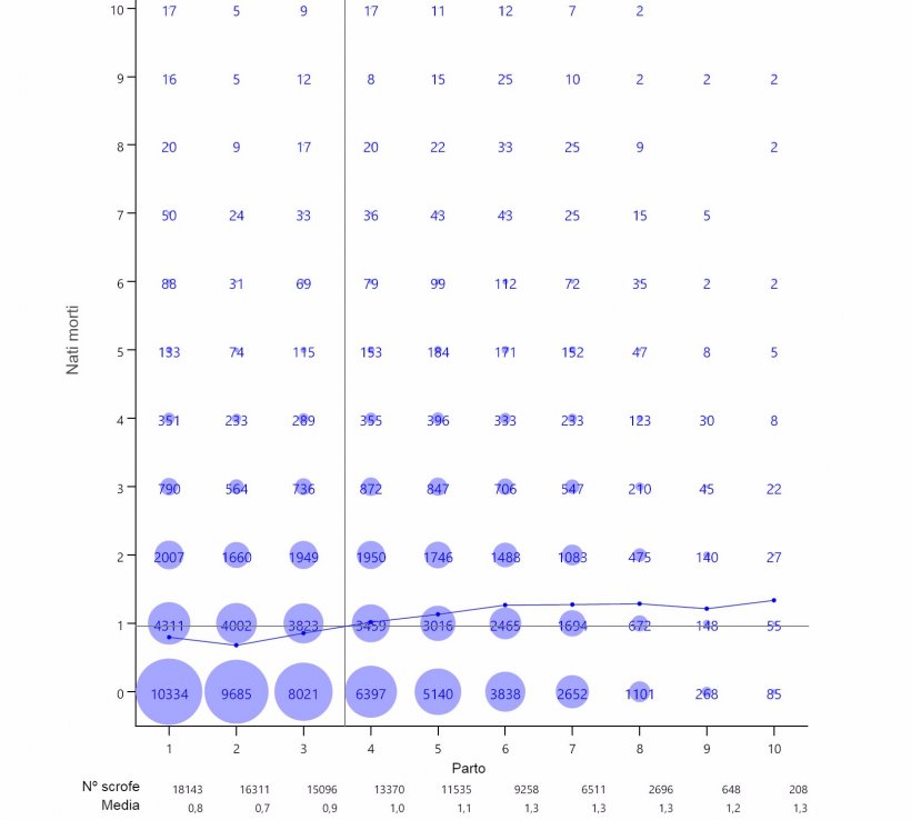 Grafico&nbsp;2: Media di suinetti nati morti per numero di parto di 93.896 scrofe iperprolifiche tra ottobre 2014 e settembre 2016. &nbsp;
