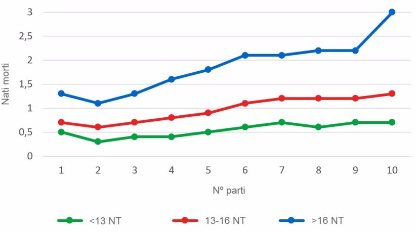 Grafico 3: Media di suinetti nati morti secondo l'ordine di parto per le figliate con meno di 13, tra 13 e 16 e oltre 16 suinetti nati totali (NT). L'analisi si basa su 93.896 parti di scrofe iperprolifiche tra ottobre 2014 e settembre 2016