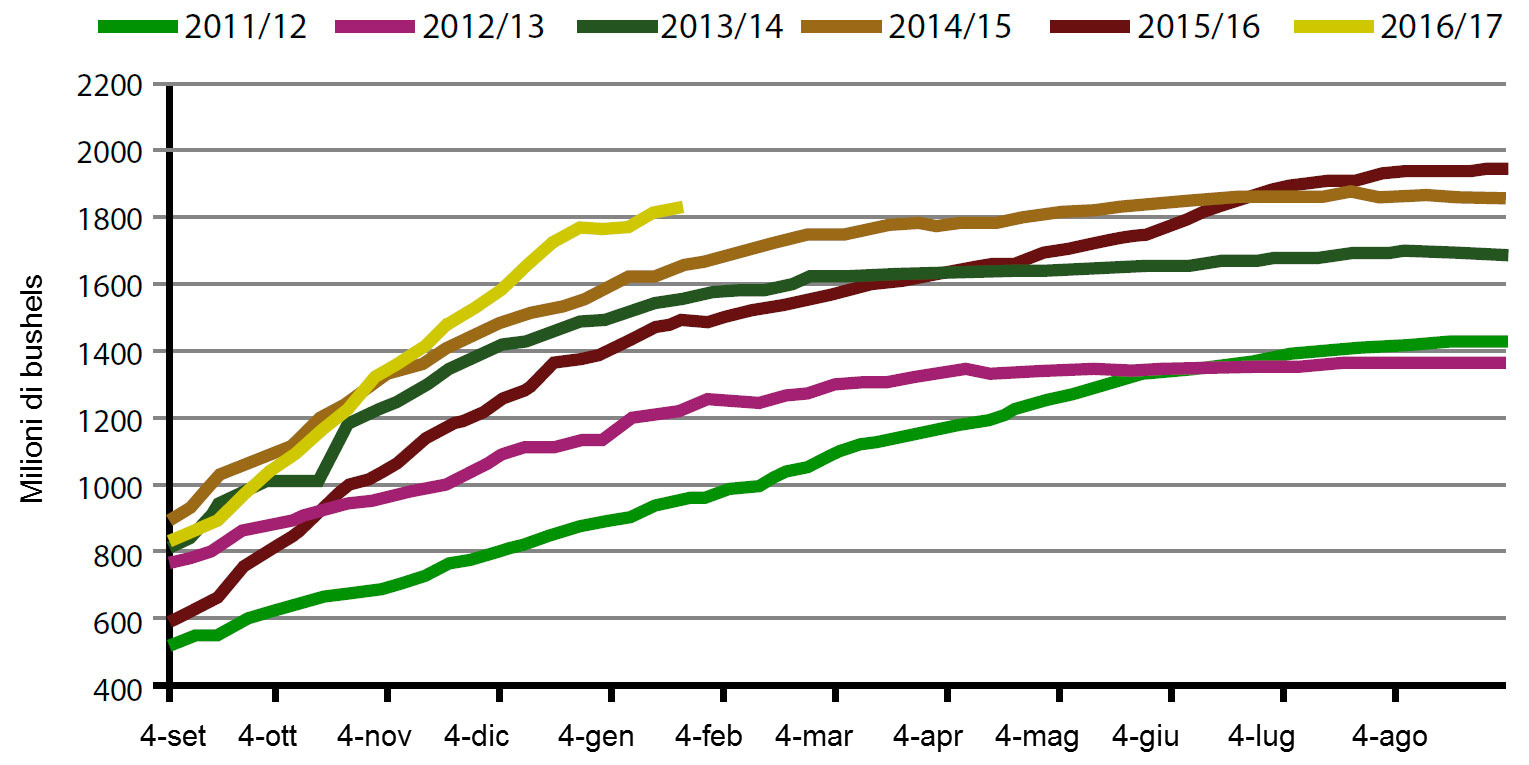 Grafico 1. Volumi settimanali delle esportazioni di semi di soia USA, campagna attuale e le cinque precedenti. Fonte: USDA.
