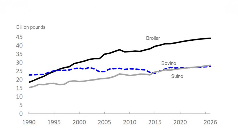 USA: produzione carni rosse e pollame
