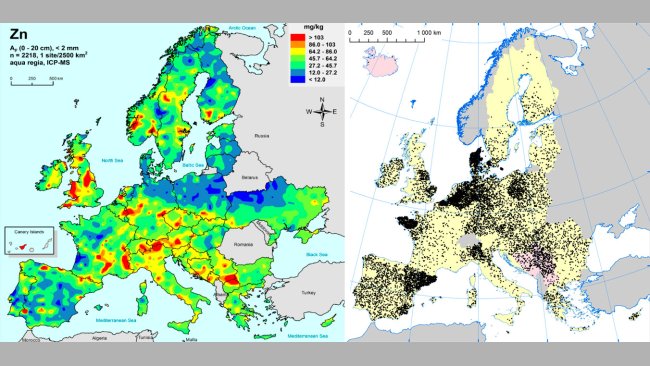 A sinistra: Zinco nei terreni agricoli della UE (Gemas 2014): Livelli di zinco sulla superficie dei suoli (20 cm superiori) nei terreni agricoli in Europa (preso da Reimann et al., 2014). A destra: Allevamenti di suini nella UE (Eurostat, 2014).
