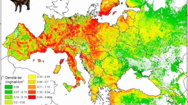 Figura 2: Popolazione stimata di cinghiali in Europa. Fonte: FAO-ASFORCE, Maggio 2015
