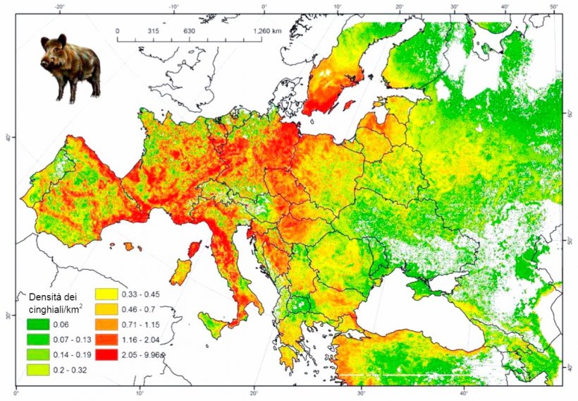 Figura 2: Popolazione stimata di cinghiali in Europa. Fonte: FAO-ASFORCE, Maggio 2015
