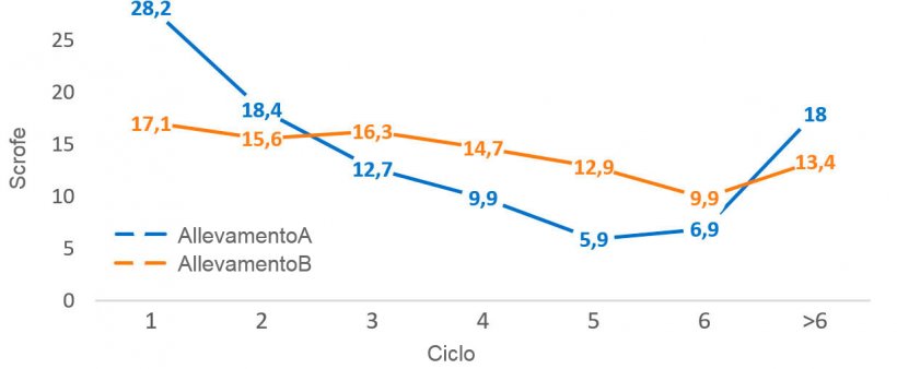 Grafico 2. Distribuzione demografica per ciclo al&nbsp;31 dicembre&nbsp;2016
