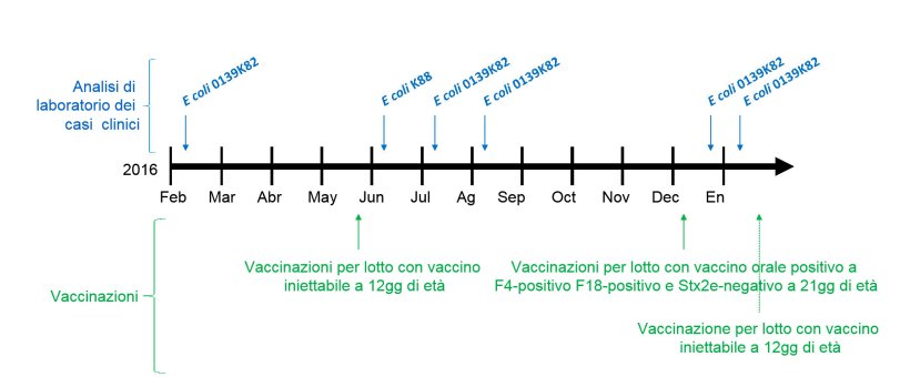 Immagine 1: Analisi di laboratorio dei casi clinici&nbsp; e calendario delle vaccinazioni
