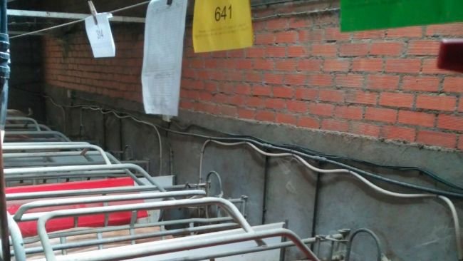 Sala parto con schede di diversi colori