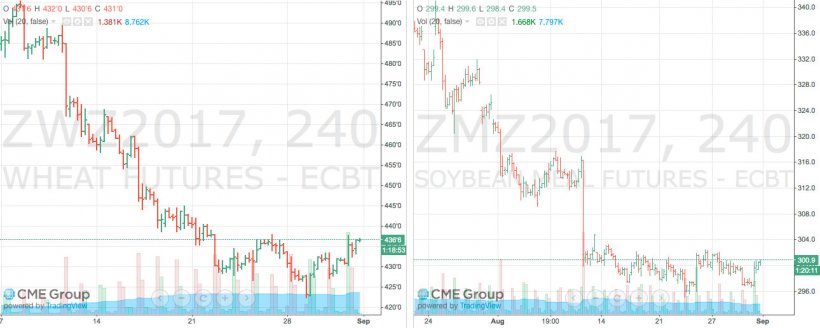 Grafico 1. Evoluzione del prezzo del mais e della soia nei mercato dei &quot;futures&quot; di Chicago Board of Trade (CBOT). Fonte: CME Group. Grafico 2. Evoluzione del prezzo della farina di soia nel mercato dei futures di Chicago Board of Trade (CBOT). Fonte: CME Group.
