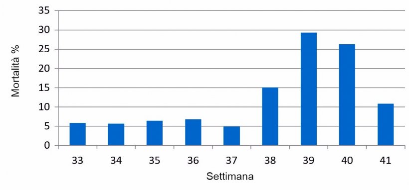 Grafico&nbsp;1. % Mortalit&agrave; settimanale sottoscrofa, prima e durante l&#39;episodio PED.
