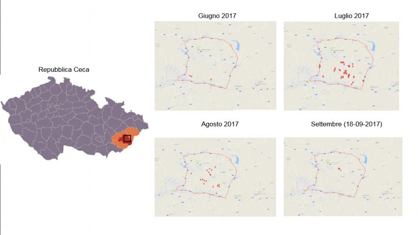 Localizzazione ed evouzione dei focolai di PSA
