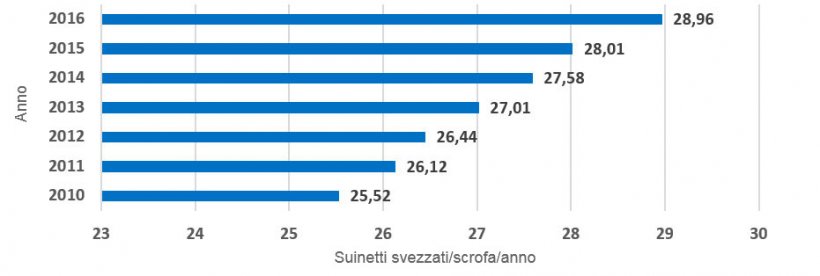 Grafico 3.- Evoluzione media dei suinetti svezzati/scofa produttiva/anno. L&#39;incremento della produzione &egrave; stato di 0,49 suinetti/scrofa/anno.
