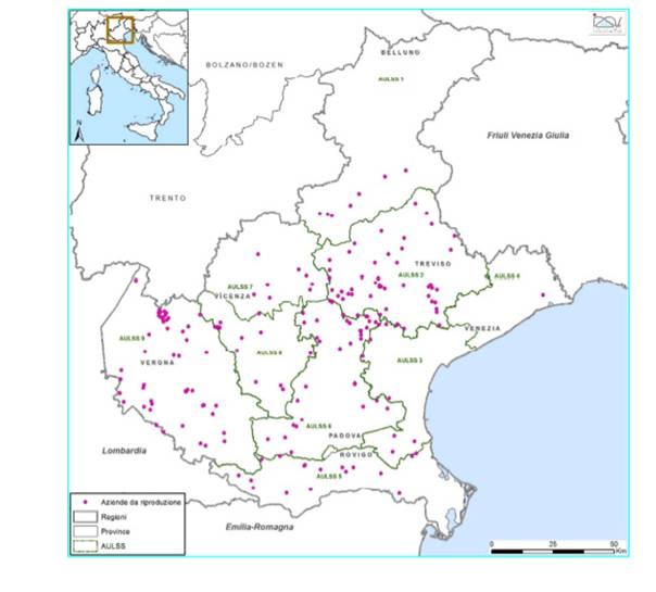 Allevamenti da Riproduzione