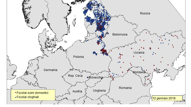 Focolai di PSA dichiarati nell\Est Europa da giugno 2017 (Fonte: RASVE-ADNS)