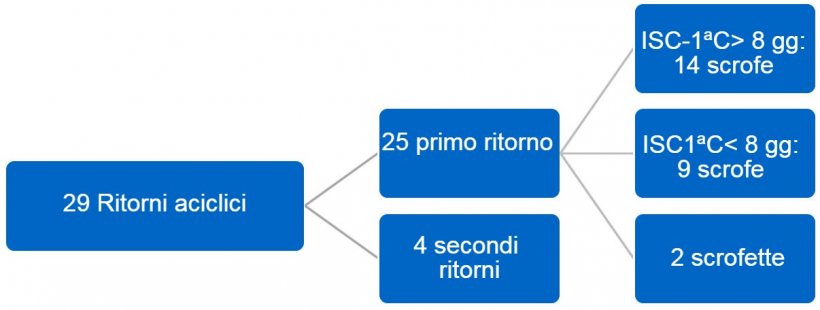 Figura 3. Distribuzione dei ritorni aciclici. Terzo&nbsp;trimestre del 2017. ID-1&ordf;C = intervallo svezzamento a prima copertura.
