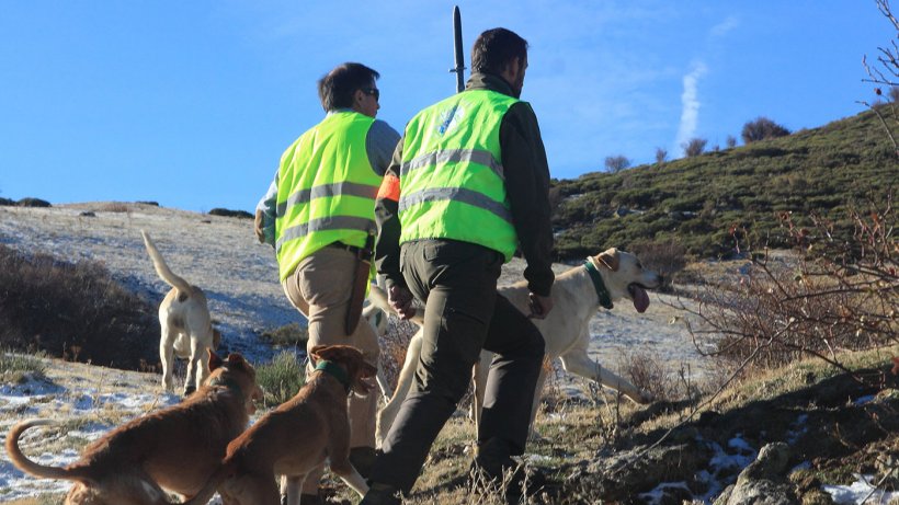 Foto 5: La caccia &egrave; necessaria ma i cani da caccia non devono entrare in allevamento
