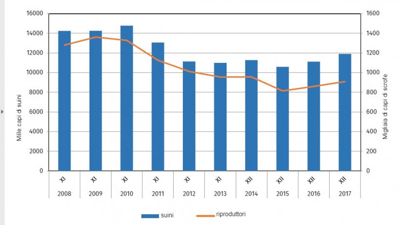 Evoluzione del patrimonio suinicolo in Polonia
