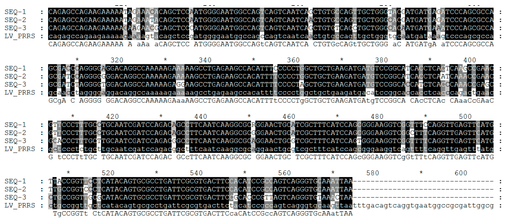 Sequenziamento del virus della PRRS